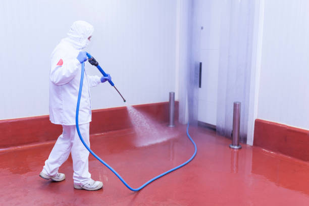 Reliable San Diego, CA Pressure Washing Services Solutions